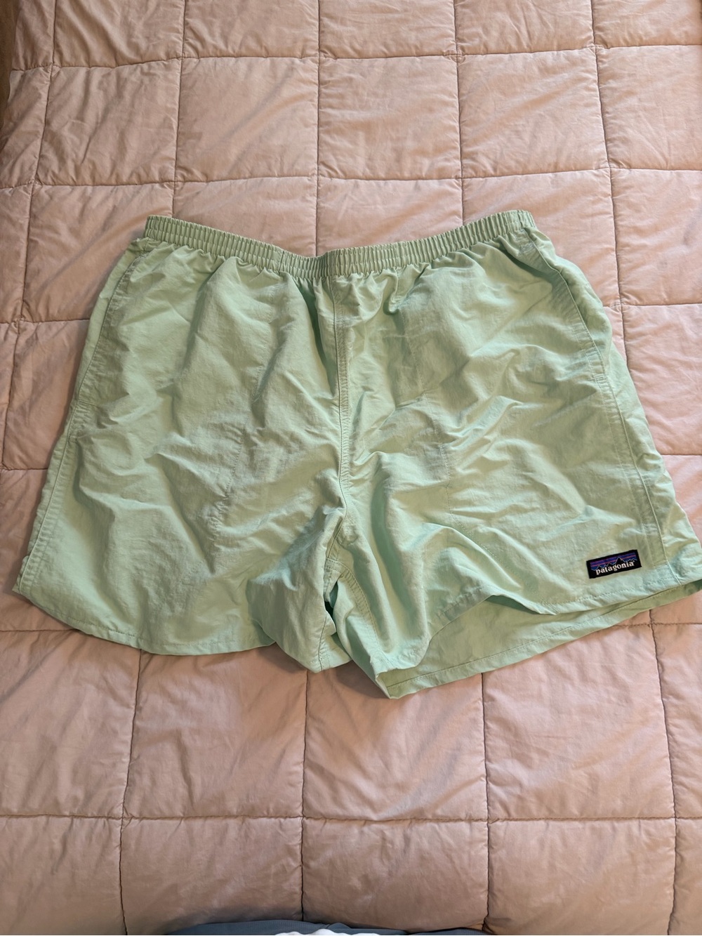 Patagonia Mint Green Athletic Shorts